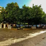 Plaza Elvira Atico- Penthouse Next To Cathedral