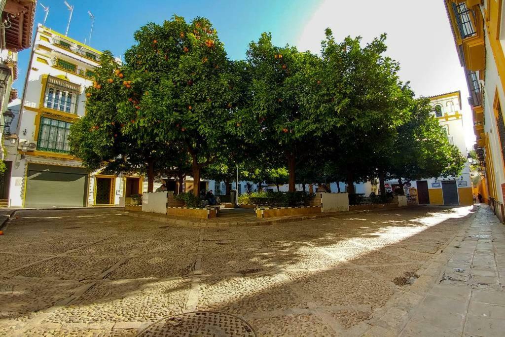 Plaza Elvira Atico- Penthouse Next To Cathedral Séville