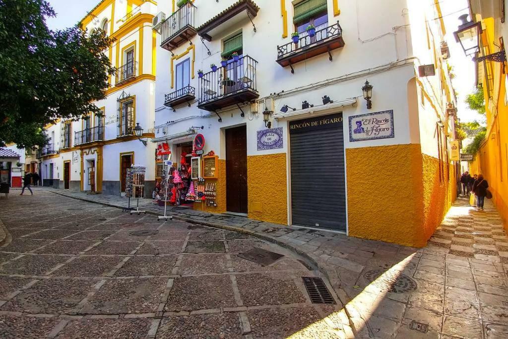 Plaza Elvira Atico- Penthouse Next To Cathedral Appartement *